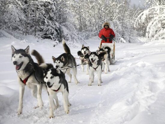 Forfait multi-activités, Chicoutimi, Saguenay
