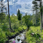 Activités, printemps, sentiers, Chicoutimi, Saguenay