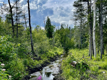 Activités, printemps, sentiers, Chicoutimi, Saguenay