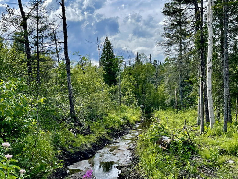 Activités, printemps, sentiers, Chicoutimi, Saguenay